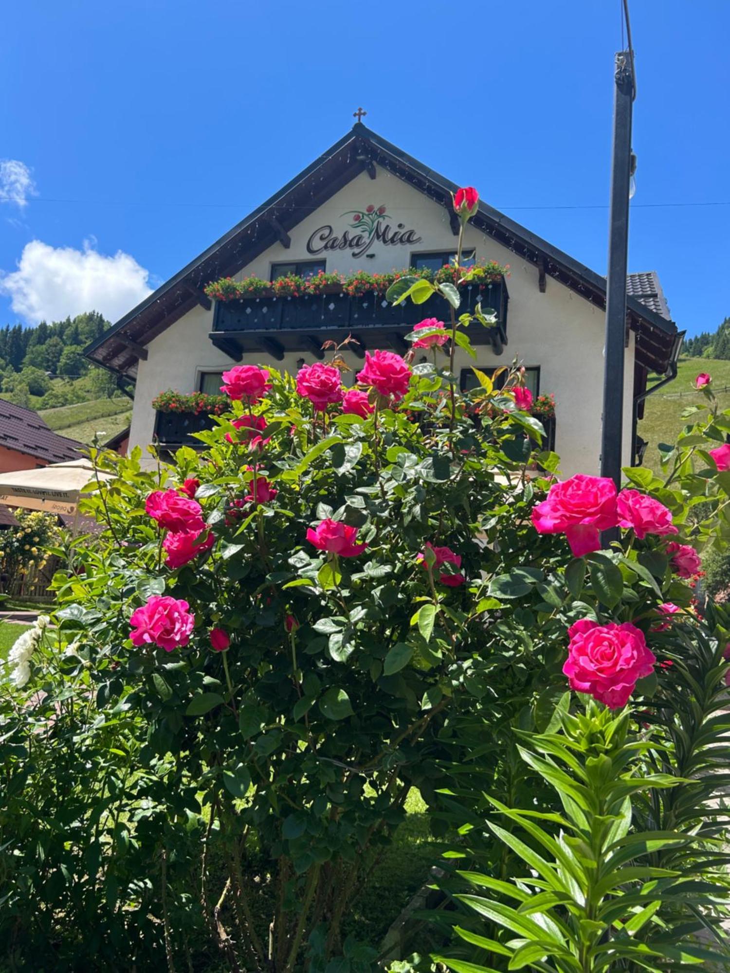 Casa Mia Moeciu De Sus Exterior foto